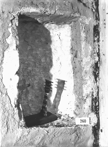 Burton photograph p0884c relating to Carter no. 260