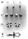 Icon of Burton photograph: p0047 (size=39.9Kb)