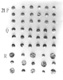 Icon of Burton photograph: p0419 (size=46.53Kb)