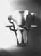Icon of Burton photograph: p0656b (size=38.16Kb)