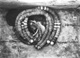 Icon of Burton photograph: p1220a (size=85.06Kb)