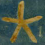 Blog icon